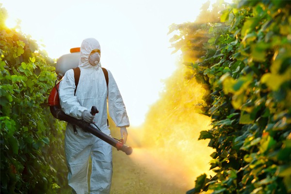 pesticide spraying pesticide spraying